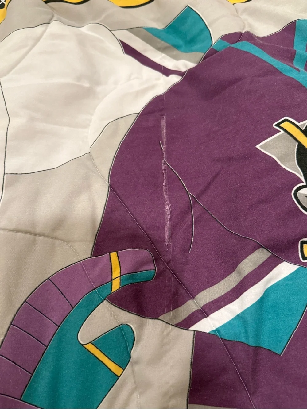 vintage 1990s Anaheim Mighty Ducks NHL Twin comforter